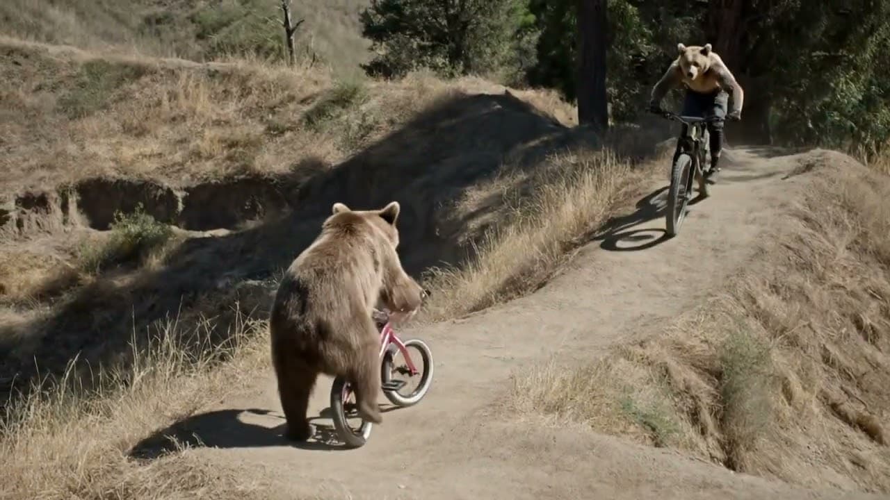 Brown Bear Mountain Biking to Fatten Up